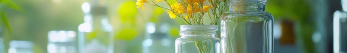 Pourquoi prendre Staphysagria 15 CH ?