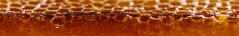 Est-ce que le propolis est un antibiotique naturel ?