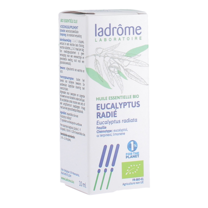 Ätherisches Öl Eukalyptus radiata Bio Ladrôme - Flasche 10ml