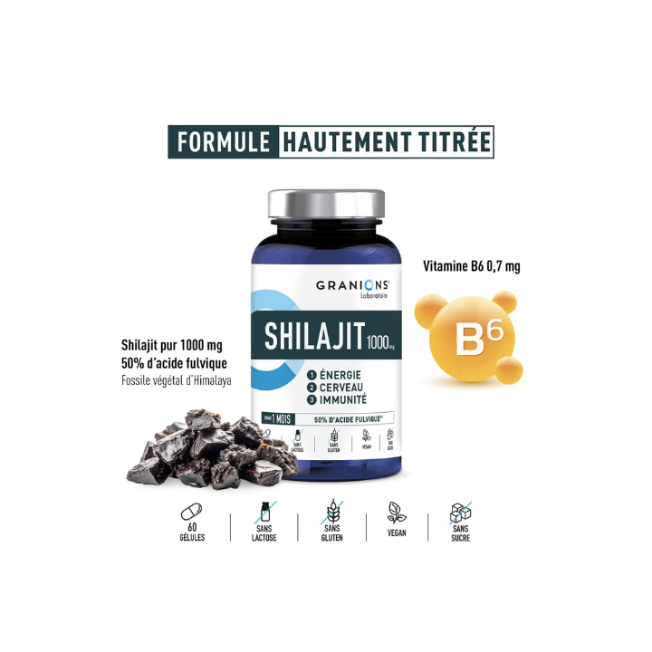 Shilajit 1000g Granions - Dose von 60 Kapseln