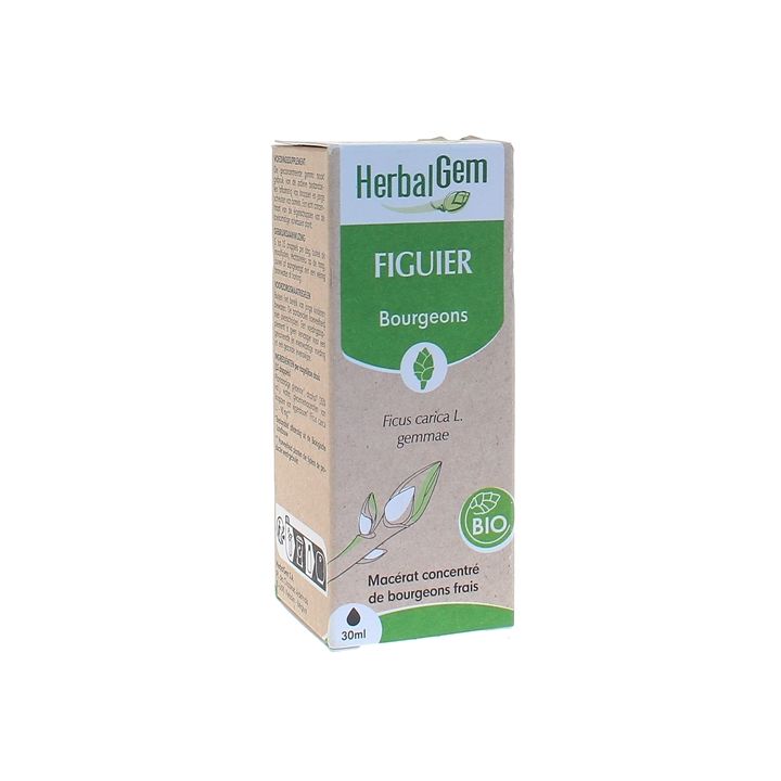 BIO Feigen Herbalgem - 30 ml