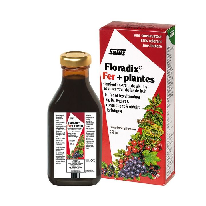 Floradix Eisen + Pflanzen Salus - Flasche 250 ml