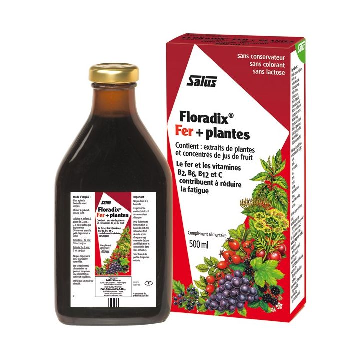 Floradix Eisen + Pflanzen Salus - Flasche 500 ml
