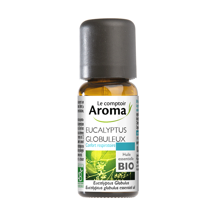 Ätherisches Öl Eucalyptus globulus bio Le Comptoir Aroma - Flasche mit 10 ml