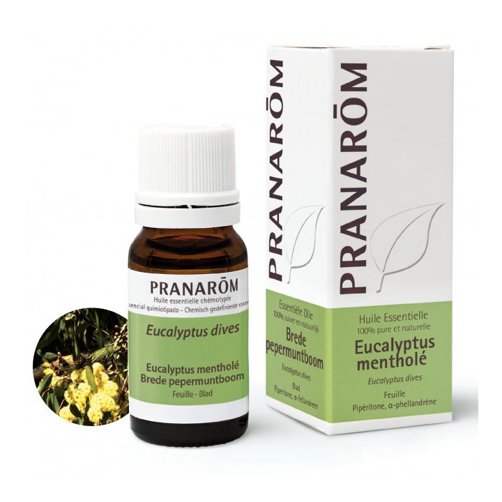 Ätherisches Öl Eukalyptus Menthol Pranarôm - Flasche mit 10 ml