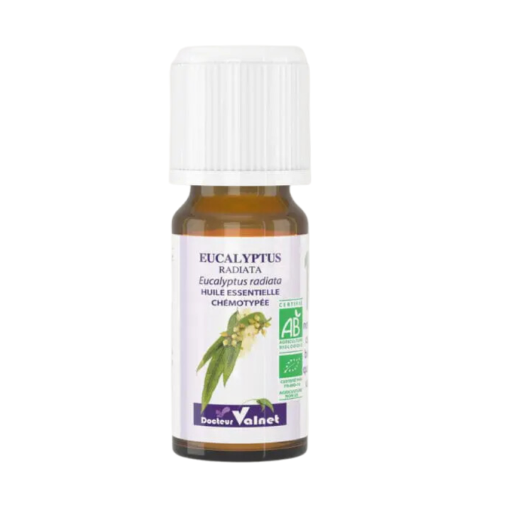 Ätherisches Öl Eukalyptus radiata Bio Dr. Valnet - 10 ml