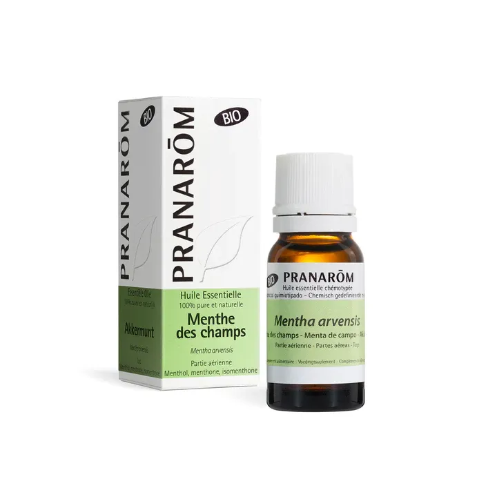 Ätherisches Öl Bio Ackerminze Pranarôm - Flasche mit 10 ml