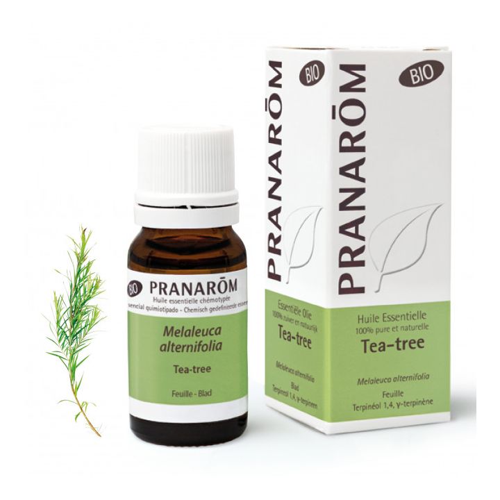 Bio Teebaumöl Pranarom - 10ml Flasche