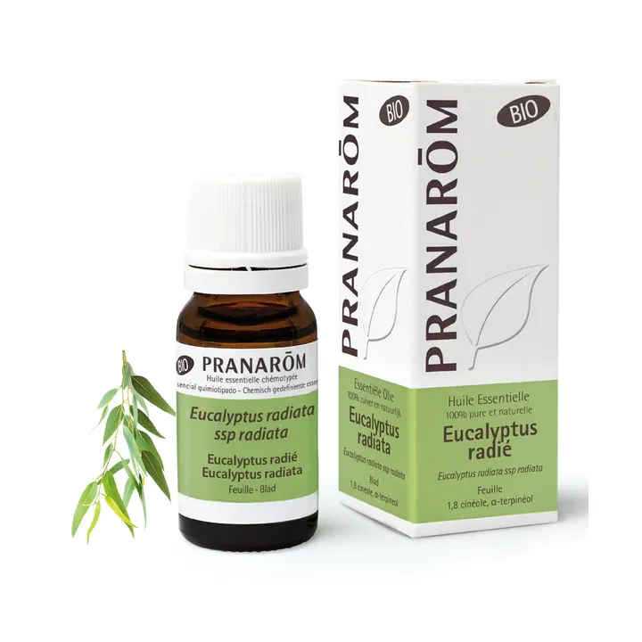Bio ätherisches Öl Eukalyptus radiata Pranarôm - Flasche mit 30 ml