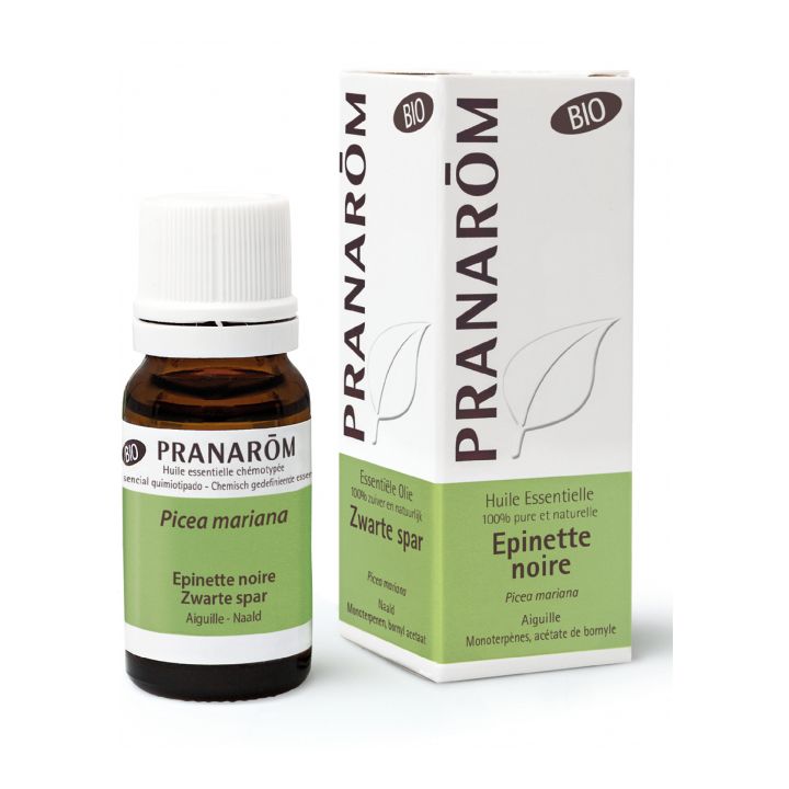 Ätherisches Öl von Bio Pranarôm Schwarze Fichte - Flasche mit 10 ml