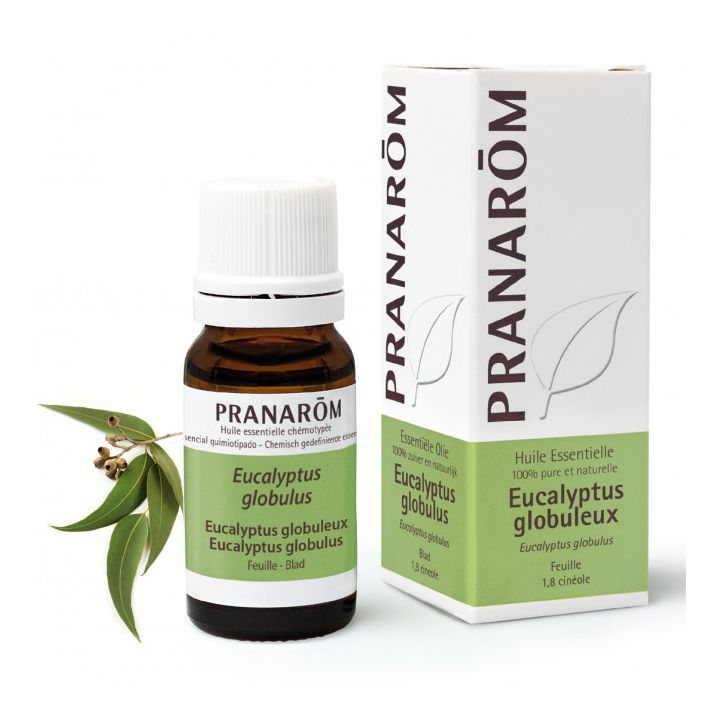Ätherisches Öl von Eukalyptus globulus Pranarôm - Flasche mit 10 ml