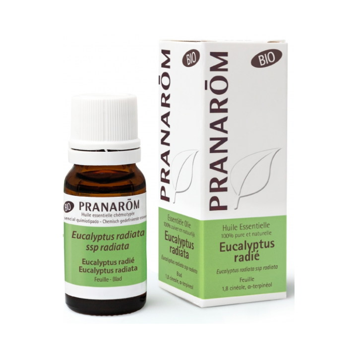 Bio ätherisches Öl von Eucalyptus radiata Pranarôm - Flasche mit 10 ml