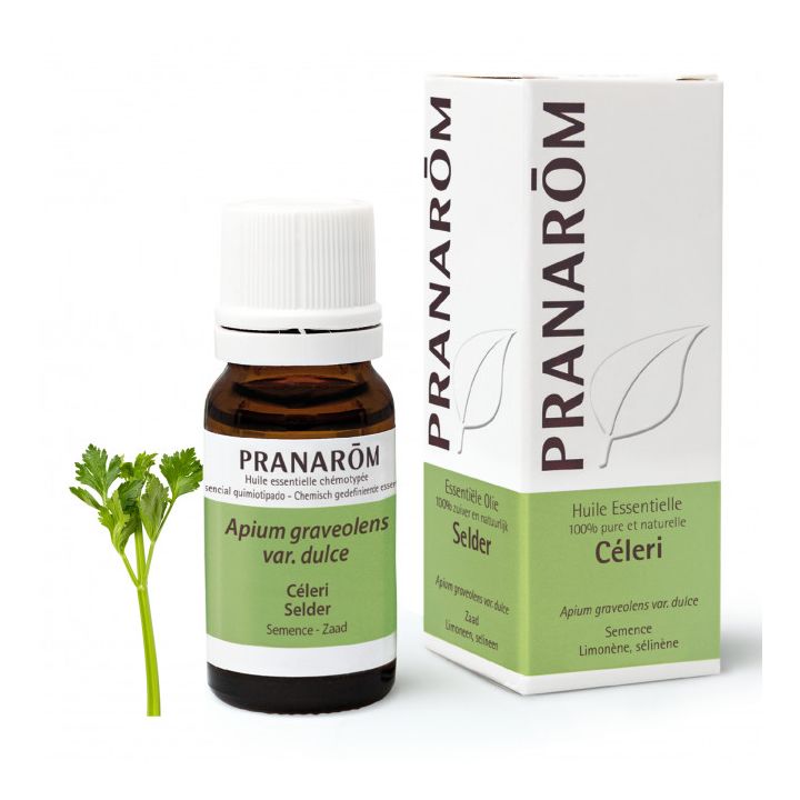 Ätherisches Öl von Sellerie Pranarôm - Flasche mit 10 ml