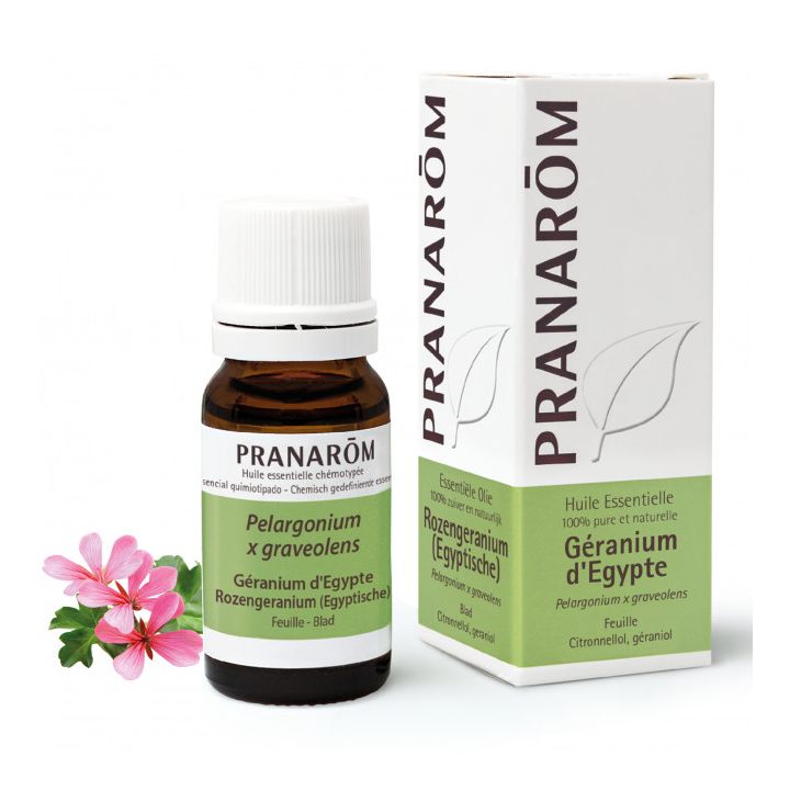 Ägyptisches Geranienöl Pranarôm - Flasche mit 10 ml