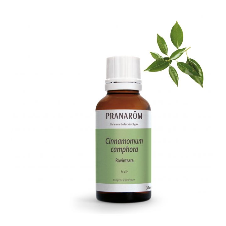 Ätherisches Öl von Ravintsara Bio Pranarôm - Flasche mit 30 ml