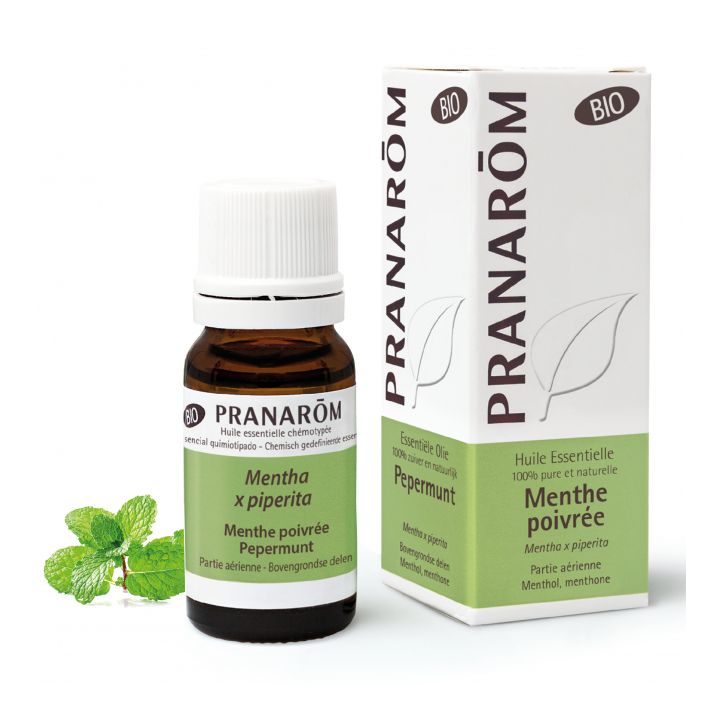 Bio Pfefferminzöl Pranarôm - 10 ml Flasche