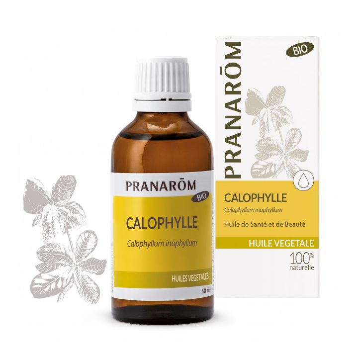 Bio Calophyllum-Öl Pranarôm - Flasche mit 50 ml