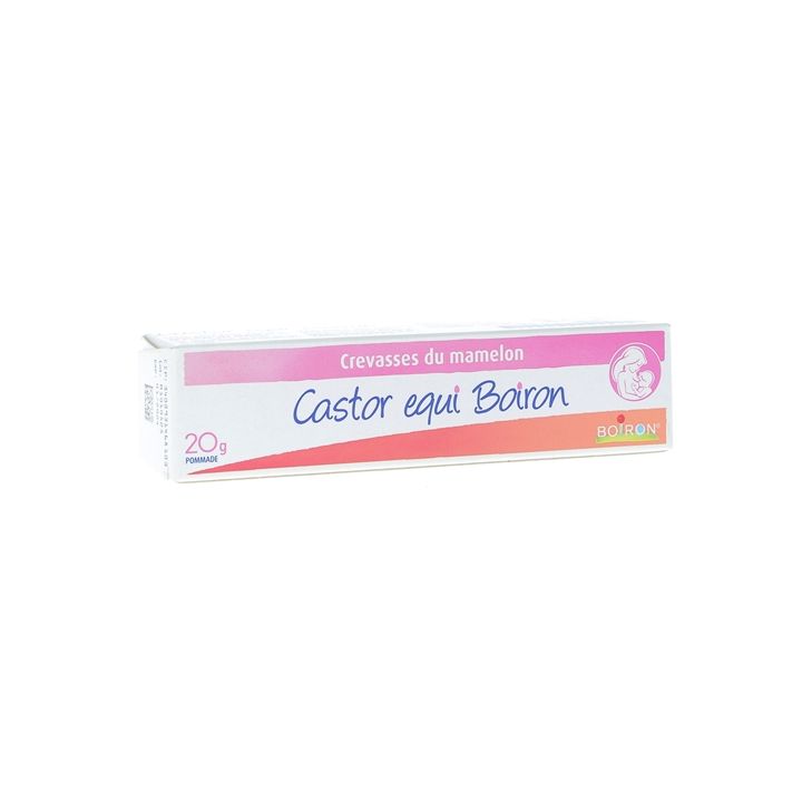 Castor equi Salbe Boiron - Tube mit 20g