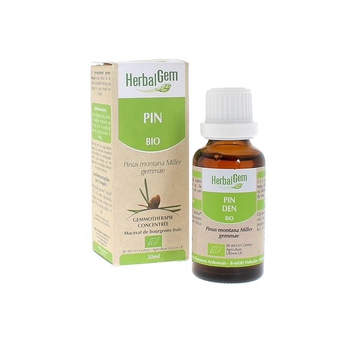 BIO-Kiefernadel Herbalgem - 30 ml