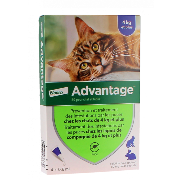 Vorteil 80 für Katzen und Kaninchen über 4 kg Bayer - Packung mit 4 Pipetten