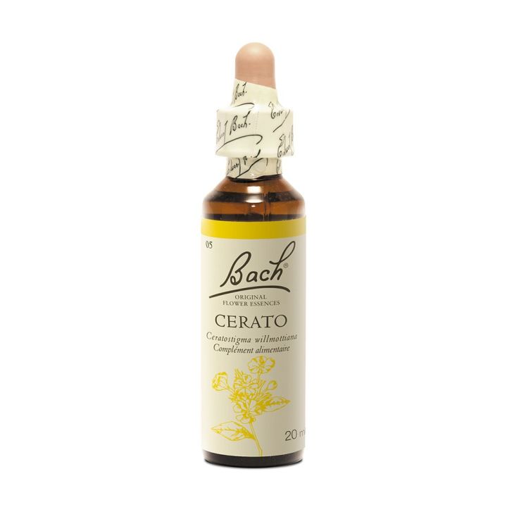 Bachblüte Cerato Ceratostigma willmottiana - Flasche mit 20 ml