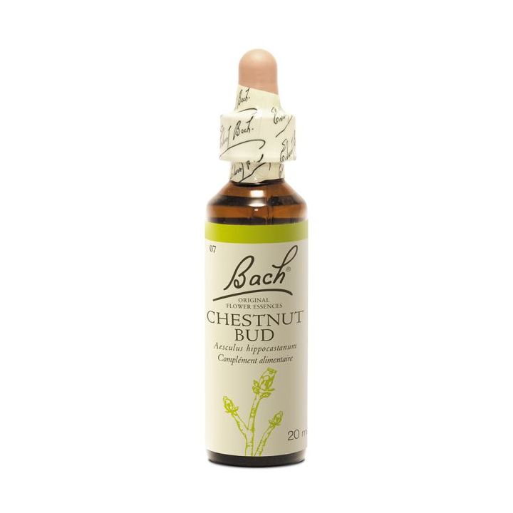 Bachblüte Kastanienknospe Aesculus hippocastanum - Flasche mit 20 ml
