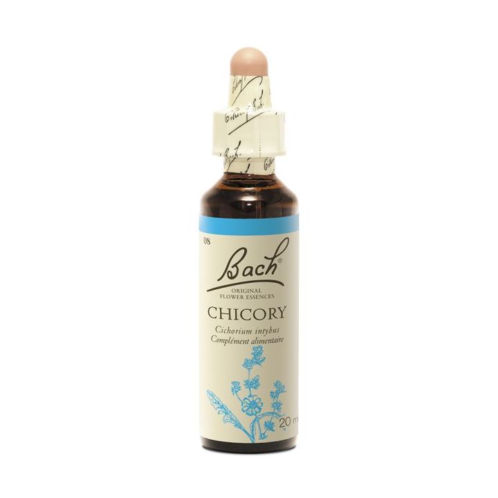 Bachblüte Chicory Cichorium intybus - Flasche mit 20 ml