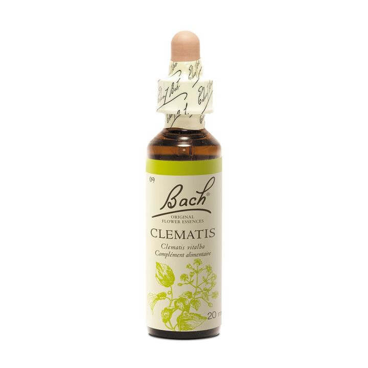 Bachblüte Clematis Clematis vitalba - Flasche mit 20 ml