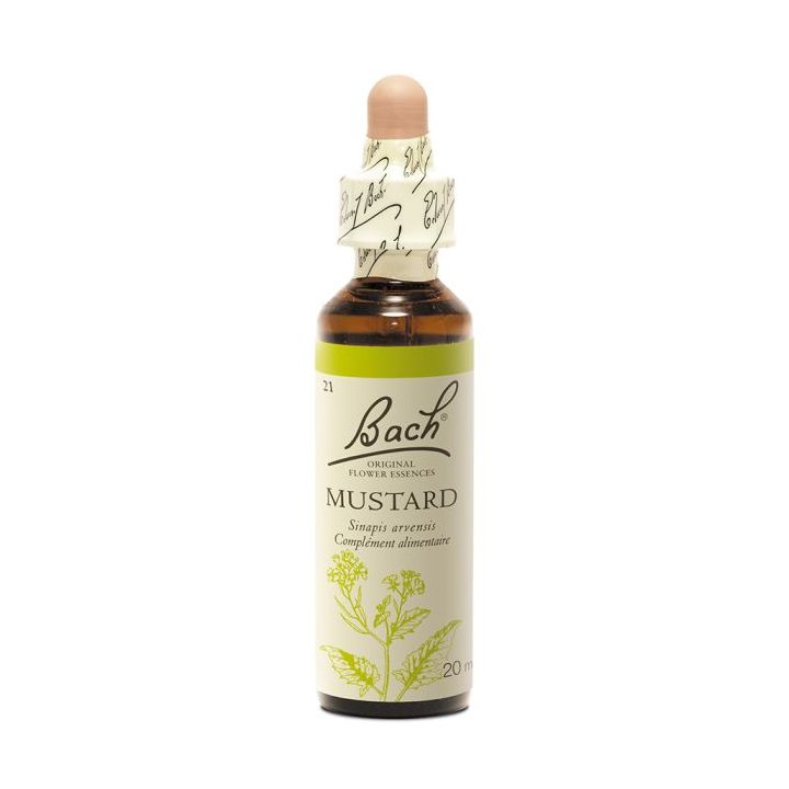 Bachblüte Senf Sinapis arvensis - Flasche mit 20 ml