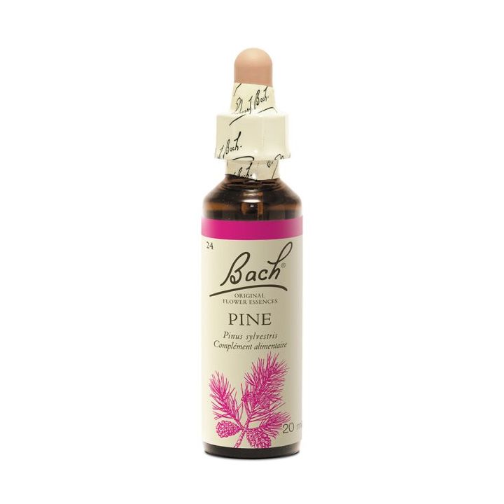 Bachblüte Kiefer Pinus sylvestris - Flasche mit 20 ml