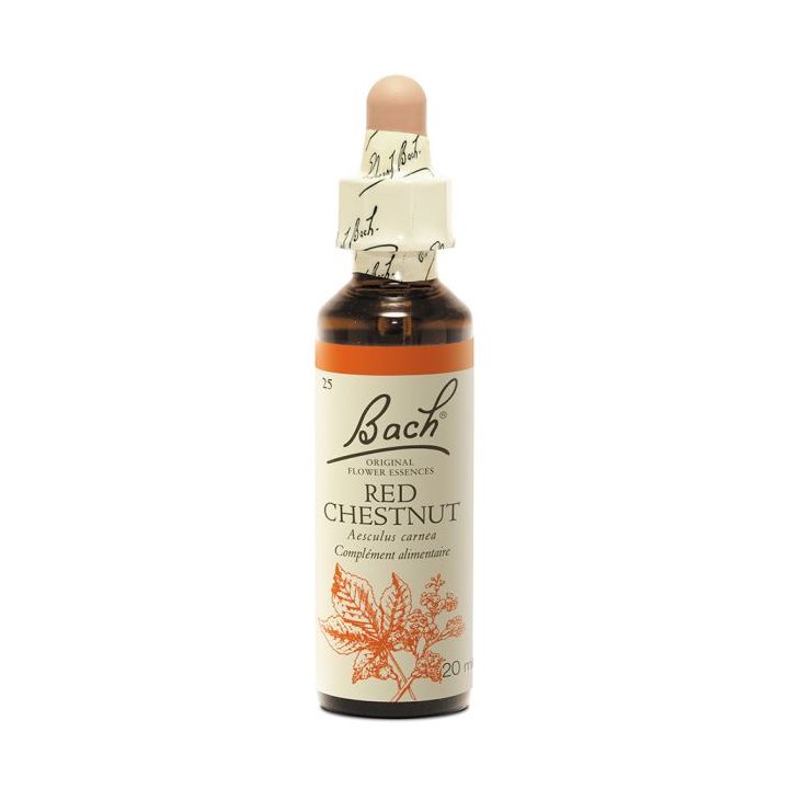Bachblüte Rote Kastanie Aesculus carnea - Flasche mit 20 ml