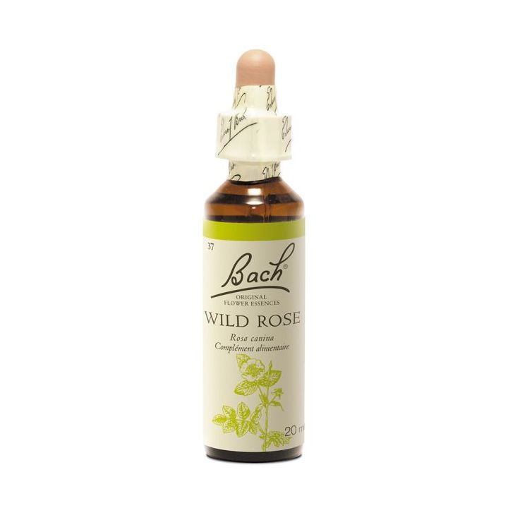Bachblüte Wildrose Rosa canina - Flasche mit 20 ml