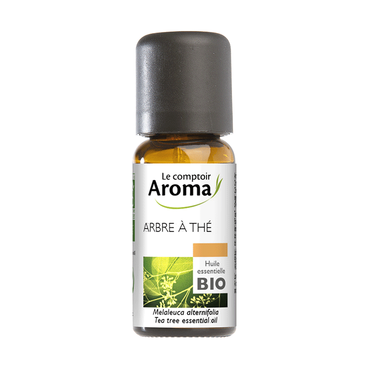 Bio Teebaumöl Le Comptoir Aroma - Flasche mit 10 ml