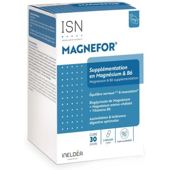 Magnefor Nervosität-Müdigkeit Ineldea - Packung mit 90 Kapseln