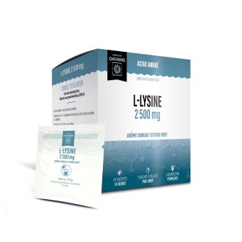 L-Lysin 2 500mg Holunder-Limette Geschmack Dayang - Schachtel mit 14 Beuteln