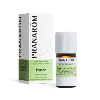 Pranarôm Hemlock-Ätherisches Öl - 5ml Flasche