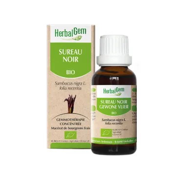 Schwarzer Holunder junge Blätter HerbalGem - Flasche 30 ml