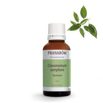 Ätherisches Öl von Ravintsara Bio Pranarôm - Flasche mit 30 ml