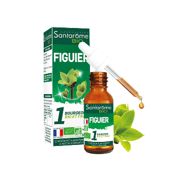 1 BIO und frischer Feigenknospe Santarome - Flasche mit 30 ml
