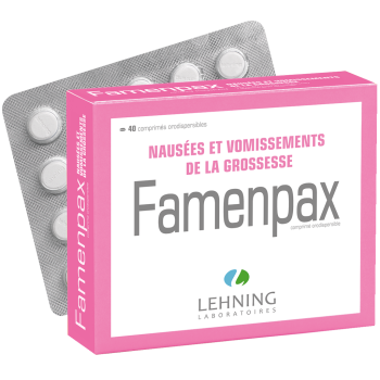 Famenpax orodispersible Tabletten Lehning - Packung mit 40 Tabletten