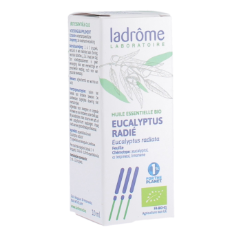 Ätherisches Öl Eukalyptus radiata Bio Ladrôme - Flasche 10ml