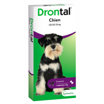 Dontral Hundetabletten appetitlich mit Fleischaroma Vetoquinol - Packung mit 6 teilbaren Tabletten