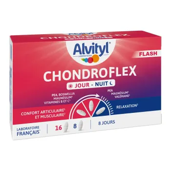 Chondroflex Flash Tag/Nacht Alvityl - Packung mit 24 Tabletten