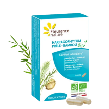 Harpagophytum Schachtelhalm Bambus bio Fleurance nature - Packung mit 40 Kapseln