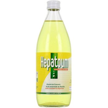 Hepatoum Trinklösung - Flasche mit 550 ml