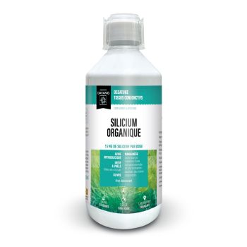Organisches Silizium für Knochen und Bindegewebe Dayang - 500ml Flasche