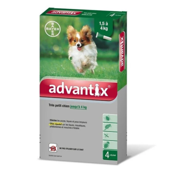 Advantix sehr kleine Hunde bis zu 4 kg Bayer - Packung mit 4 Pipetten