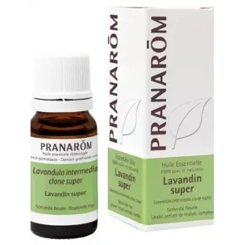 Ätherisches Öl Lavandin Super Pranarôm - Flasche mit 10 ml
