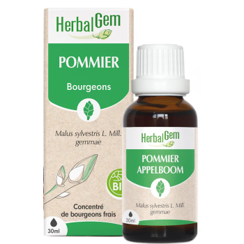 BIO Apfelbaum Herbalgem - Flasche 30ml