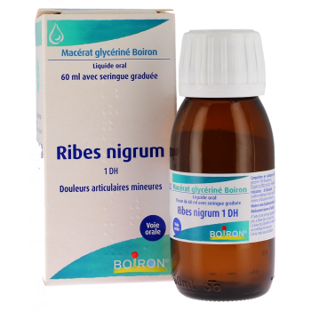 RIBES NIGRUM BOURGEONS Boiron - Flasche mit Glycerin-Mazerat 60 ml